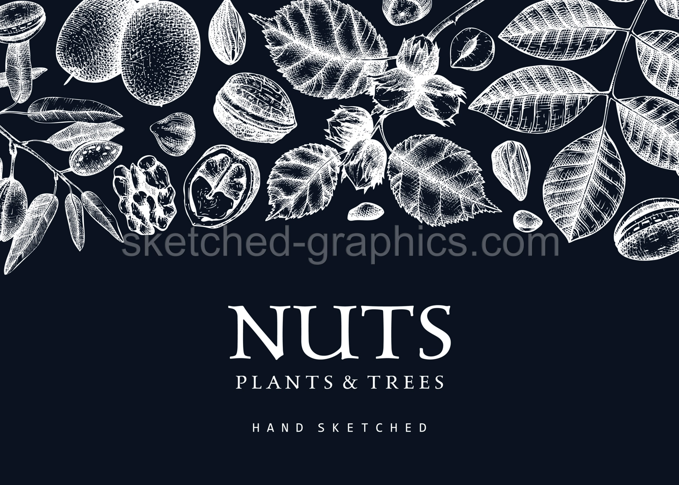 Vector nuts background on chalkboard. Vintage nuts sketched banner. Healthy food backdrop with branches, plants, nutshells hand-drawings. Realistic botanical illustrations for packaging design Illustration